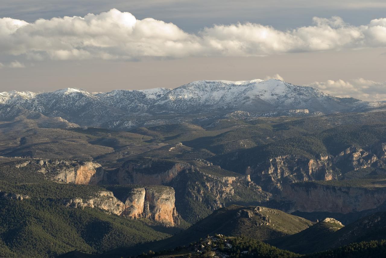 Casas Rurales Tio Frasquito Y Cleto Yeste Dış mekan fotoğraf