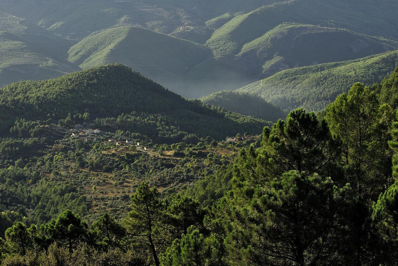Casas Rurales Tio Frasquito Y Cleto Yeste Dış mekan fotoğraf